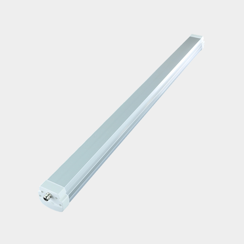 Cold Storage Light LED Waterproof And Moisture-Proof Three-Proof Bracket Source Manufacturer Three-Proof Light Long Strip IP65 Cold Storage Light